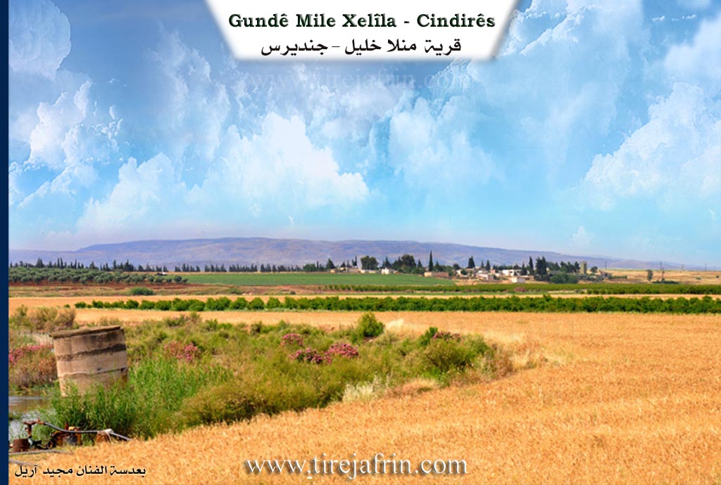 Photo of Mîla Xelîla